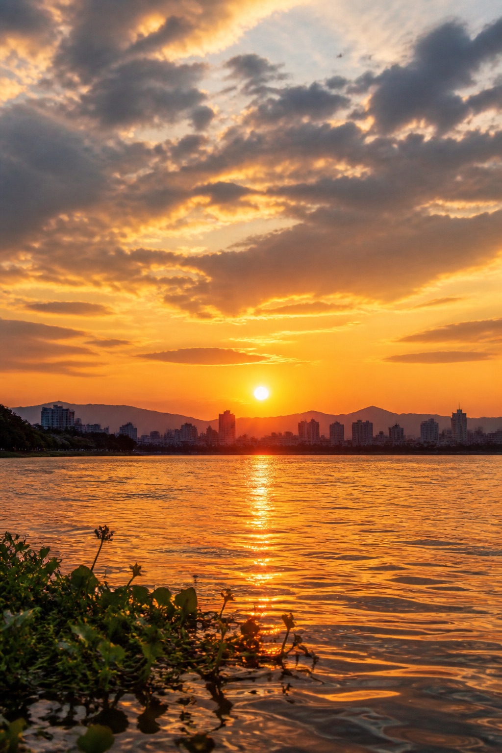 夕阳下的江边风景，金色的夕阳挂着 的效果示例图