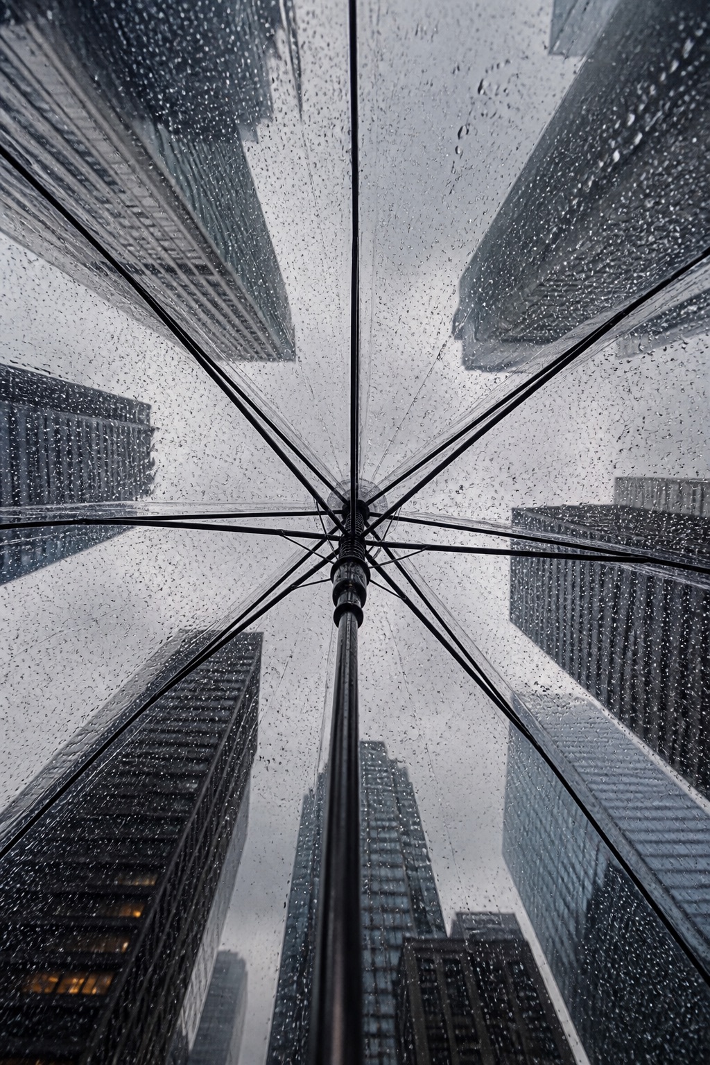透明雨伞的内部布满了雨滴。钍 的效果示例图