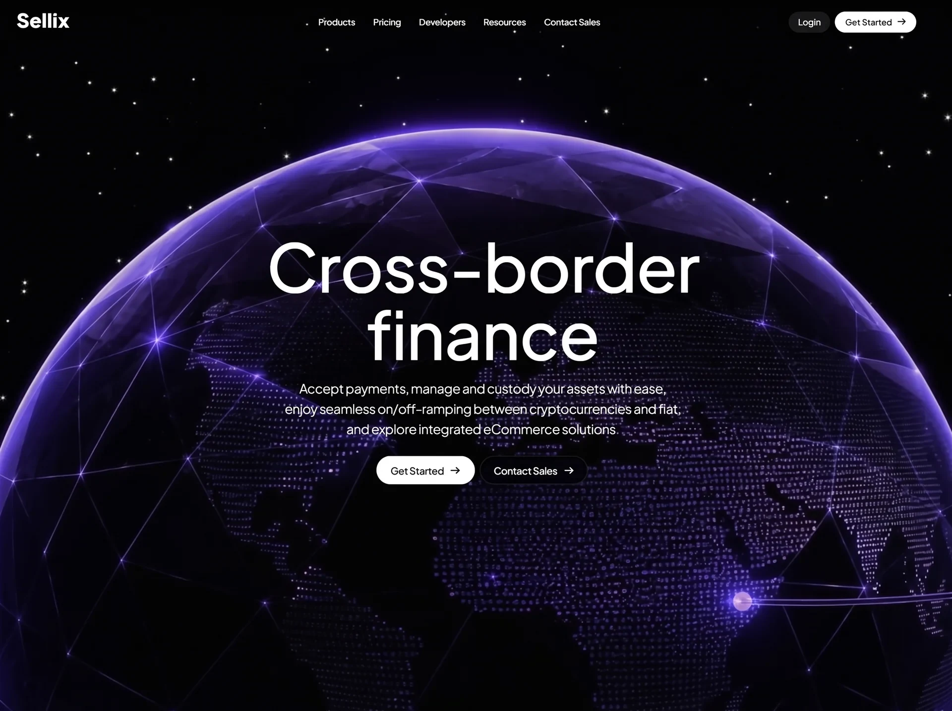 Sellix 金融科技首屏 的效果示例图