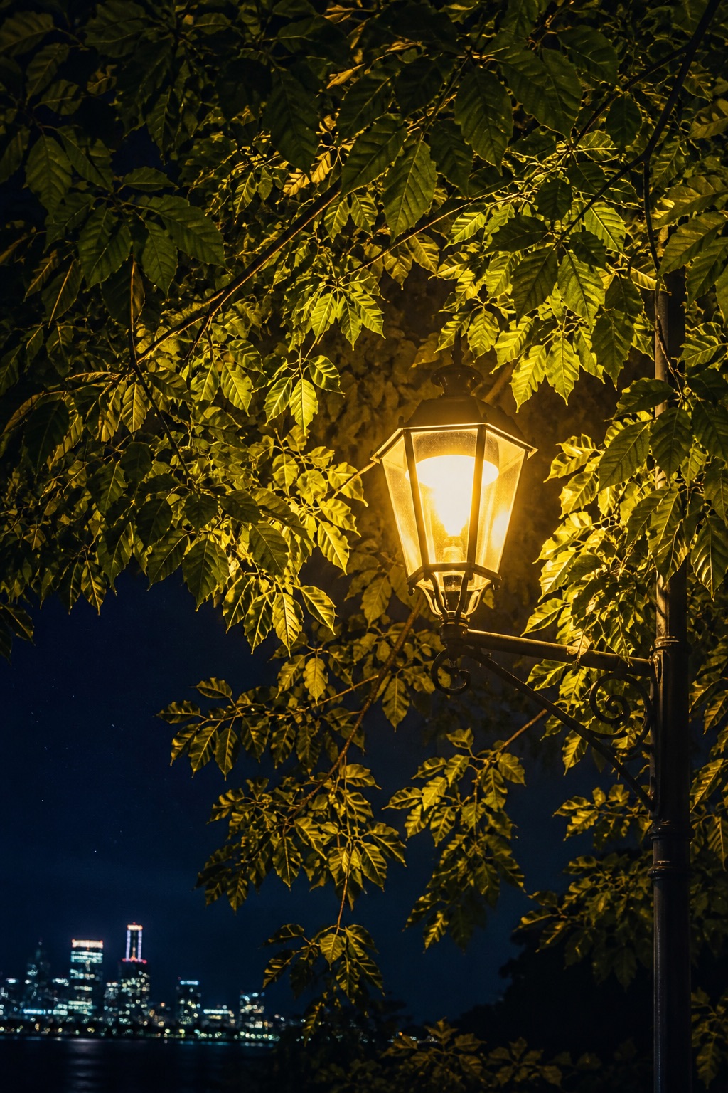 夜晚，树枝间挂着明亮的路灯。温暖的黄 的效果示例图