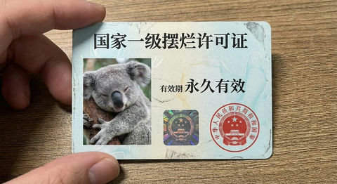 国家一级摆烂许可证 的效果示例图